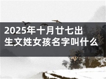 2025年十月廿七出生文姓女孩名字叫什么