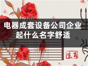 电器成套设备公司企业起什么名字舒适