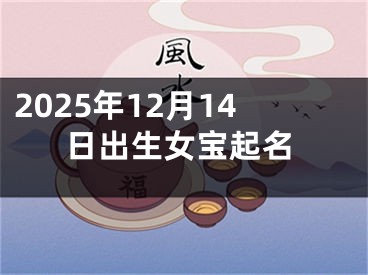 2025年12月14日出生女宝起名
