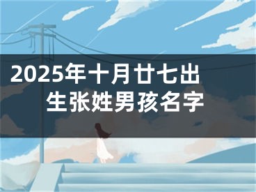 2025年十月廿七出生张姓男孩名字