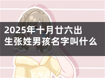 2025年十月廿六出生张姓男孩名字叫什么