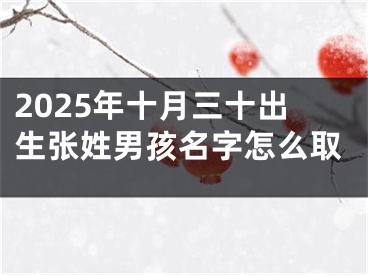 2025年十月三十出生张姓男孩名字怎么取