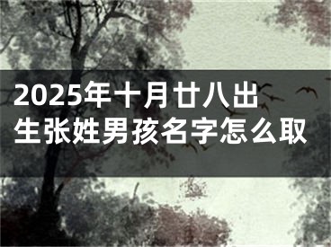 2025年十月廿八出生张姓男孩名字怎么取