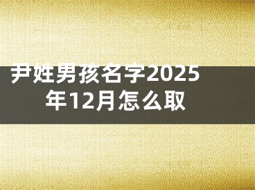 尹姓男孩名字2025年12月怎么取
