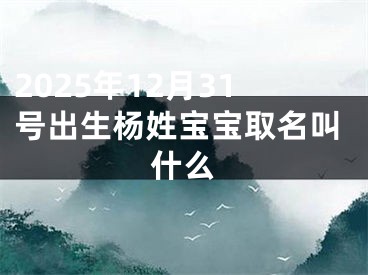 2025年12月31号出生杨姓宝宝取名叫什么