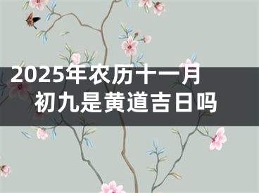 2025年农历十一月初九是黄道吉日吗