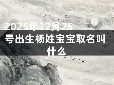 2025年12月25号出生杨姓宝宝取名叫什么