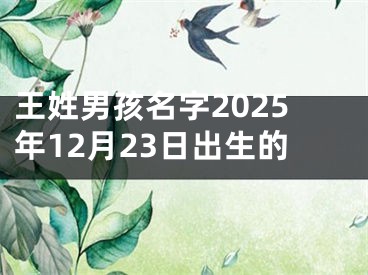王姓男孩名字2025年12月23日出生的