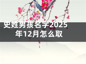 史姓男孩名字2025年12月怎么取