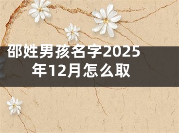 邵姓男孩名字2025年12月怎么取