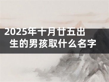 2025年十月廿五出生的男孩取什么名字