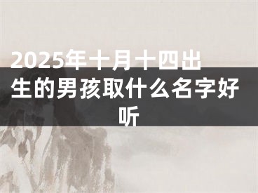 2025年十月十四出生的男孩取什么名字好听