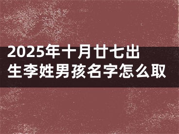 2025年十月廿七出生李姓男孩名字怎么取