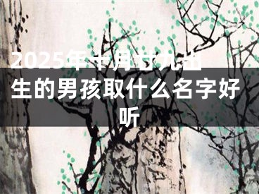 2025年十月廿九出生的男孩取什么名字好听