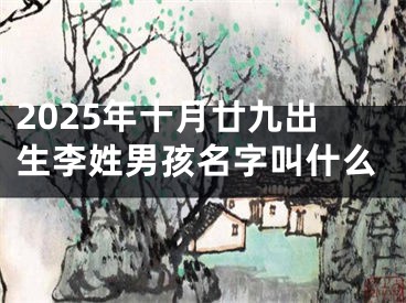 2025年十月廿九出生李姓男孩名字叫什么