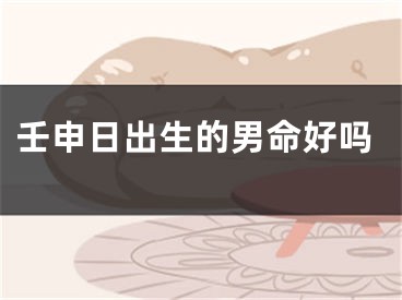 壬申日出生的男命好吗