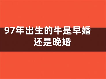 97年出生的牛是早婚还是晚婚