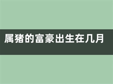 属猪的富豪出生在几月