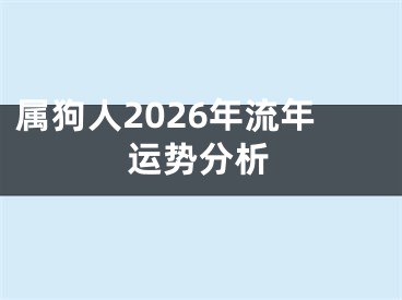属狗人2026年流年运势分析