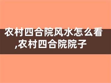 农村四合院风水怎么看,农村四合院院子