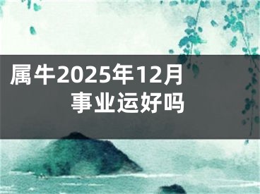 属牛2025年12月事业运好吗