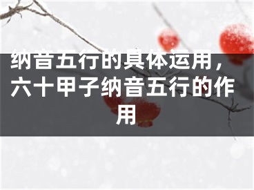 纳音五行的具体运用，六十甲子纳音五行的作用