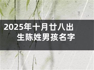 2025年十月廿八出生陈姓男孩名字