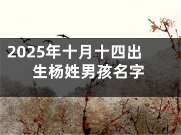 2025年十月十四出生杨姓男孩名字