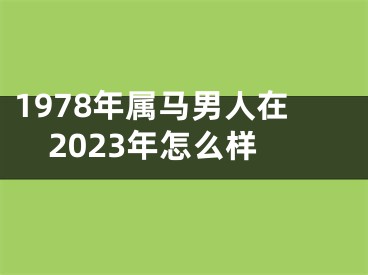 1978年属马男人在2023年怎么样