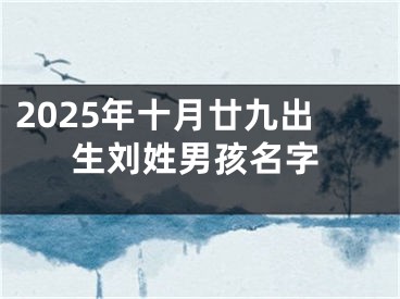 2025年十月廿九出生刘姓男孩名字
