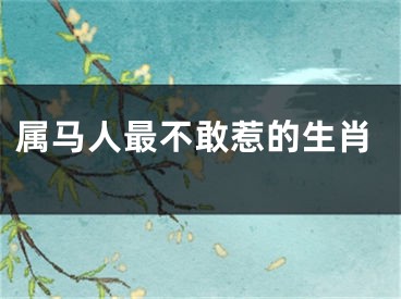 属马人最不敢惹的生肖