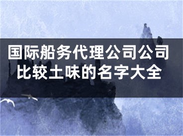 国际船务代理公司公司比较土味的名字大全
