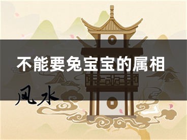 不能要兔宝宝的属相