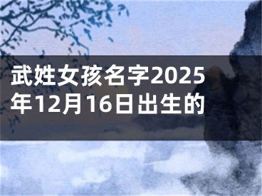武姓女孩名字2025年12月16日出生的