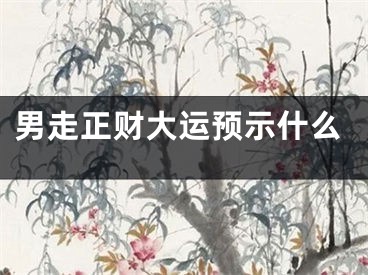 男走正财大运预示什么
