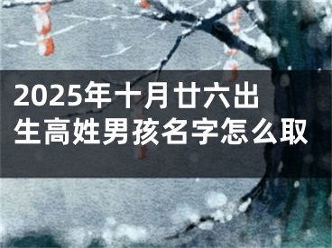 2025年十月廿六出生高姓男孩名字怎么取