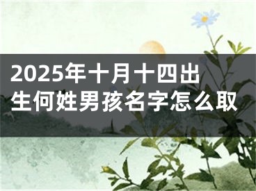 2025年十月十四出生何姓男孩名字怎么取