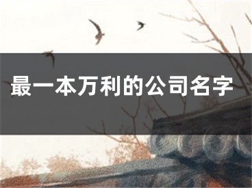 最一本万利的公司名字