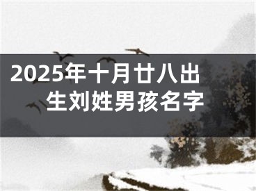 2025年十月廿八出生刘姓男孩名字