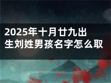 2025年十月廿九出生刘姓男孩名字怎么取