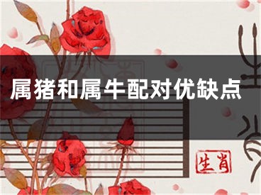 属猪和属牛配对优缺点