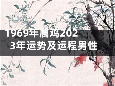 1969年属鸡2023年运势及运程男性