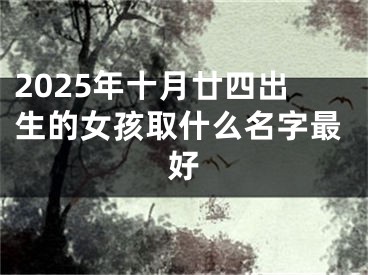 2025年十月廿四出生的女孩取什么名字最好