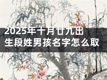 2025年十月廿九出生段姓男孩名字怎么取