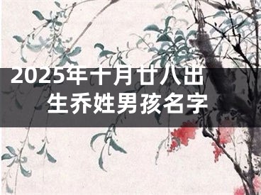 2025年十月廿八出生乔姓男孩名字