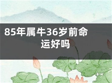 85年属牛36岁前命运好吗
