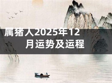 属猪人2025年12月运势及运程