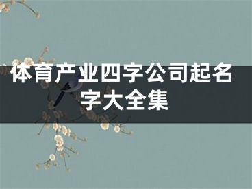 体育产业四字公司起名字大全集