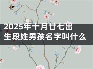 2025年十月廿七出生段姓男孩名字叫什么