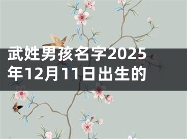 武姓男孩名字2025年12月11日出生的